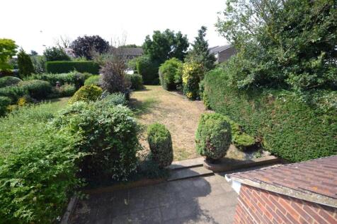 Garden.JPG