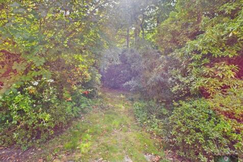 CAM04622G0-PR0066-STILL014.jpg
