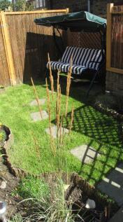 67A-Rangemoor-Road-Garden-13.jpeg