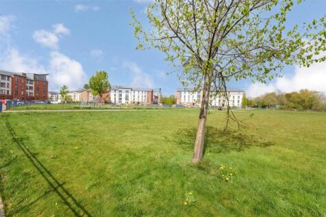 Local Park