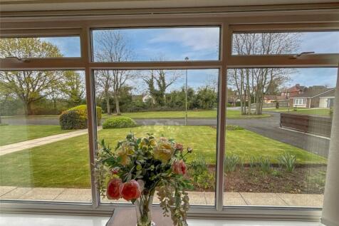 Window Outlook