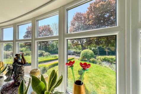 Window Outlook