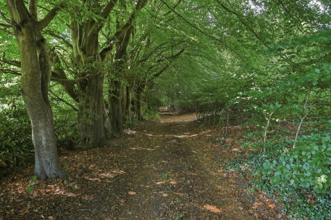 Property Image 43