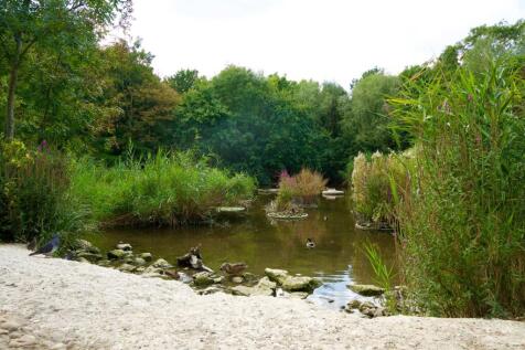 Russia Dock Woodland