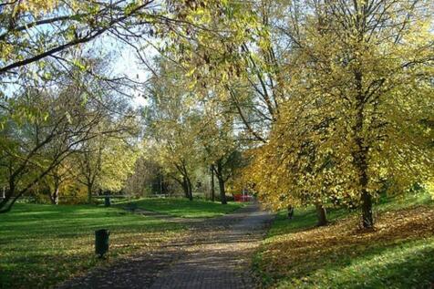 Russia Dock Woodland