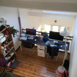Study Area