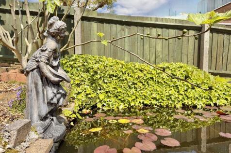 Photo 29