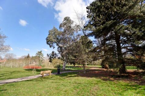 Woodland Walk