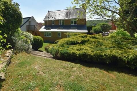 Top Grass Lawn