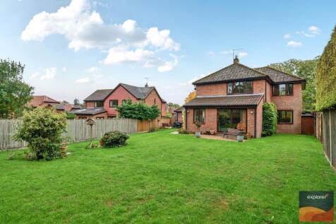 Property Image 26