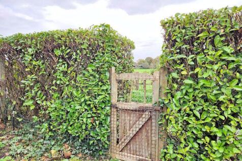 Rear Gate