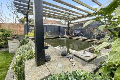 Pond