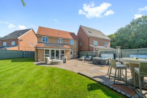 Property Image 39