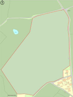 Site Plan.png