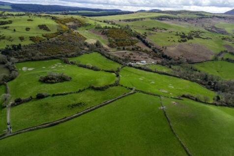 DJI_0197.jpg
