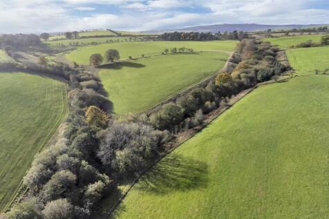 DJI_0662.jpg