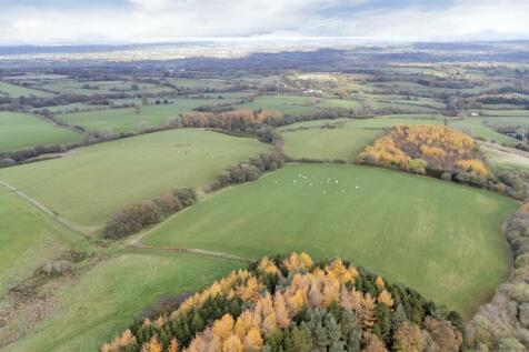 DJI_0675.jpg