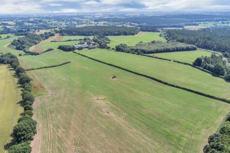 DJI_0621.jpg