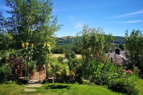 Garden 3.jpg
