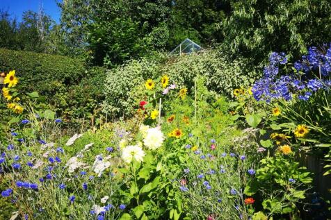 Garden 4.jpg