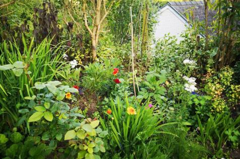 Garden 6.jpg