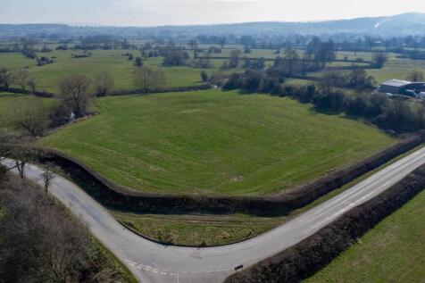 DJI_0444.jpg