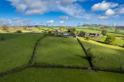 DJI_0122.jpg