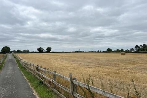 IMG_8103.JPEG