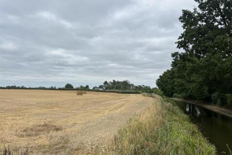 IMG_8101.JPEG