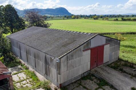 DJI_0901.jpg