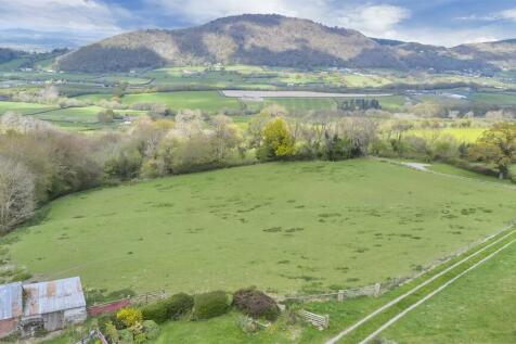 DJI_0594.jpg
