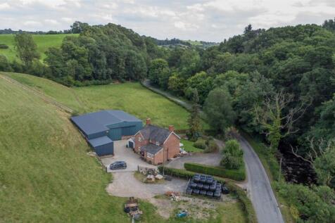 DJI_0981.jpg