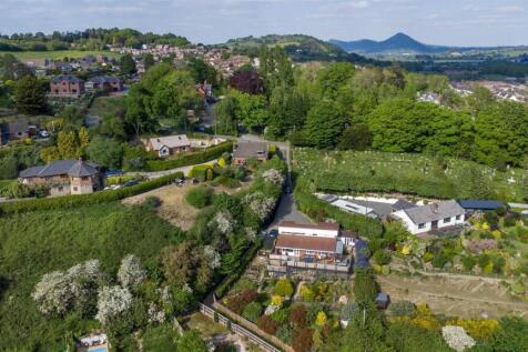 DJI_0990.jpg
