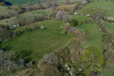 DJI_0772.jpg