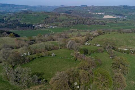 DJI_0773.jpg
