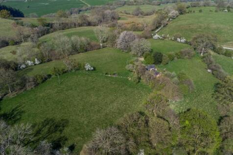 DJI_0775.jpg