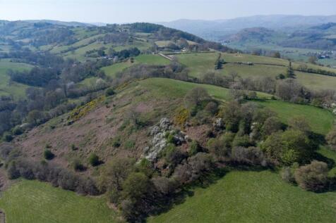 DJI_0779.jpg