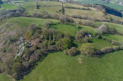 DJI_0781.jpg