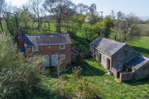 DJI_0793.jpg