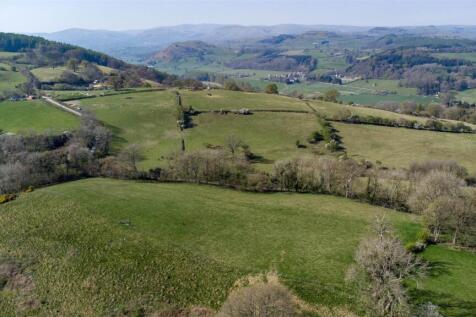 DJI_0770.jpg