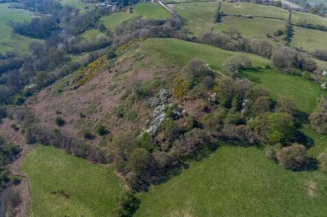 DJI_0780.jpg