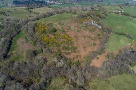 DJI_0783.jpg
