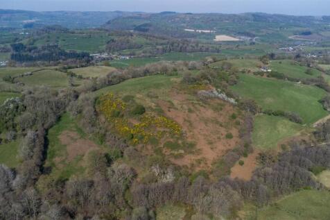 DJI_0786.jpg