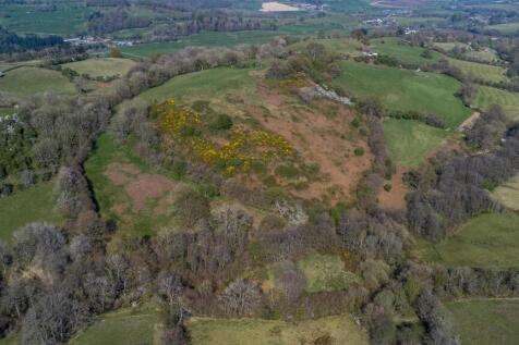 DJI_0788.jpg