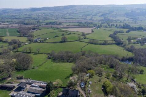 DJI_0713.jpg