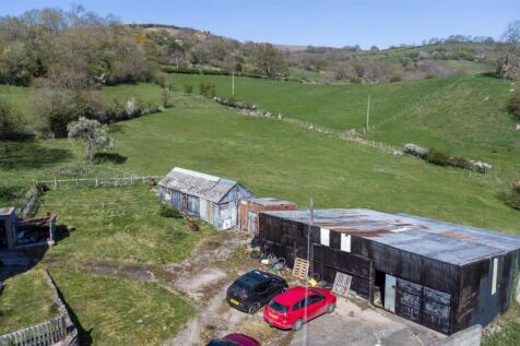 DJI_0703.jpg