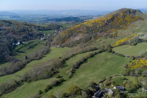 DJI_0741.jpg