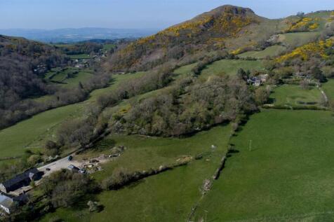 DJI_0728.jpg