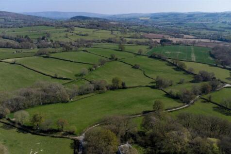 DJI_0715.jpg