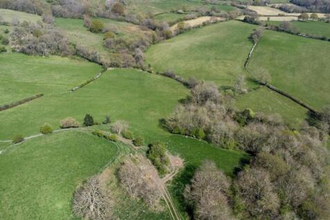DJI_0719.jpg
